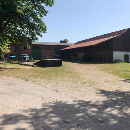 Gaestezimmer Vermietung Reinstorf Reinstorf  Exteriör bild