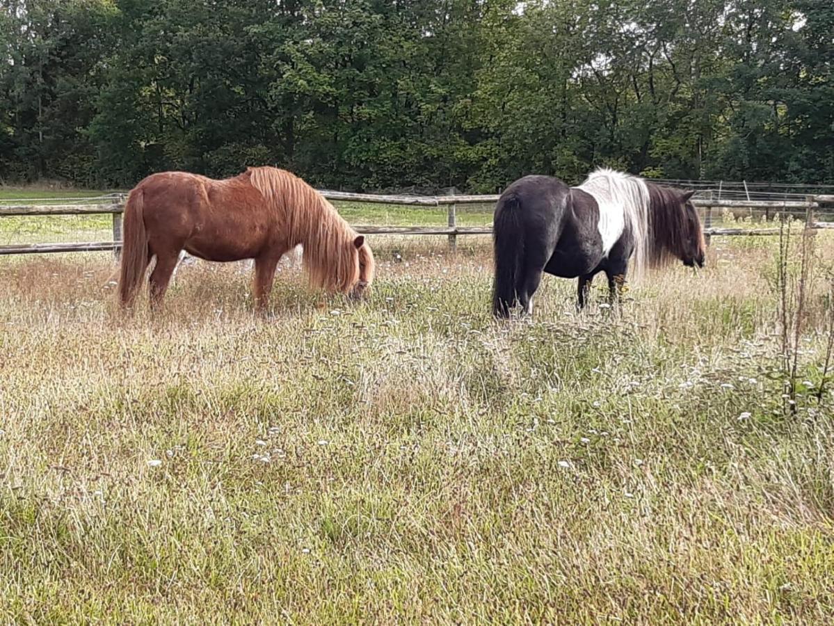 Ferienvermietung Reinstorf Reinstorf  Exteriör bild